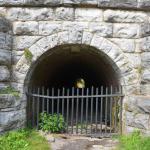 2017OTRA-1_1014 (August 27, 2017)